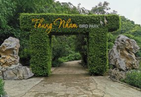 2 Days in Ninh Binh