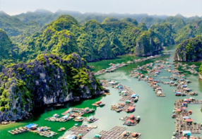 3 Days at Ha Long Bay on Appricot Cruise and Cat Ba Islands