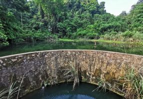 Easy Trekking at Cuc Phuong National Park